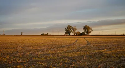 Ready to Grow? How to Start a Farm with this Essential Guide