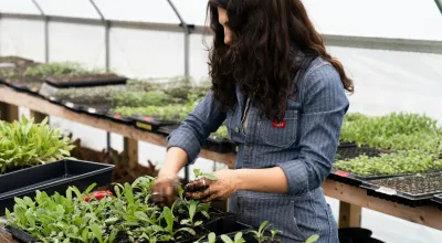 woman planting seeds