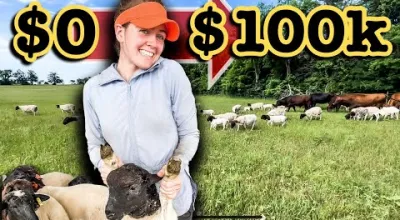 HOW I BUILT A $100K FARM BUSINESS IN 3 YEARS (Step-by-Step) | Ranching Profit Sheep Farming Dorper