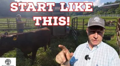 The EASIEST Way To Start Raising Cows