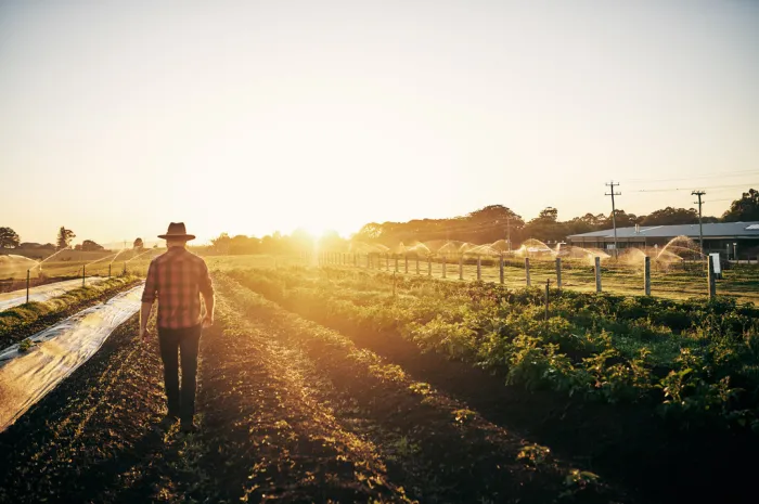 Four Questions To Ask Before Buying Land To Farm