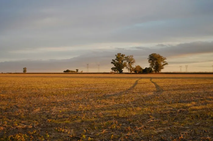 Ready to Grow? How to Start a Farm with this Essential Guide