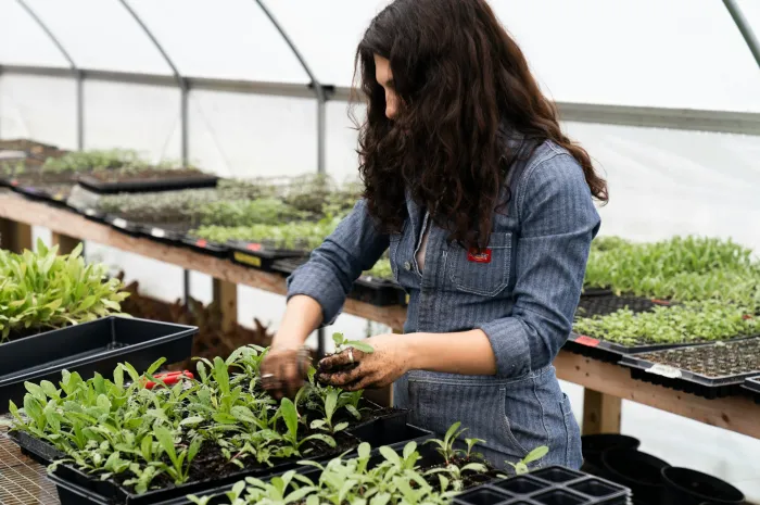 woman planting seeds