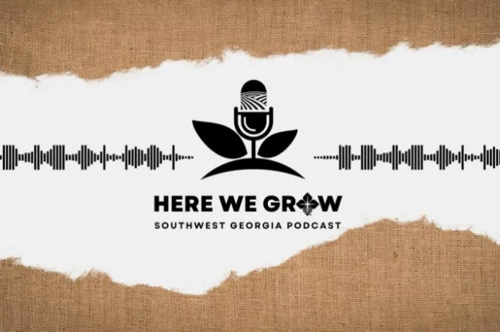 here we grow podcast cover